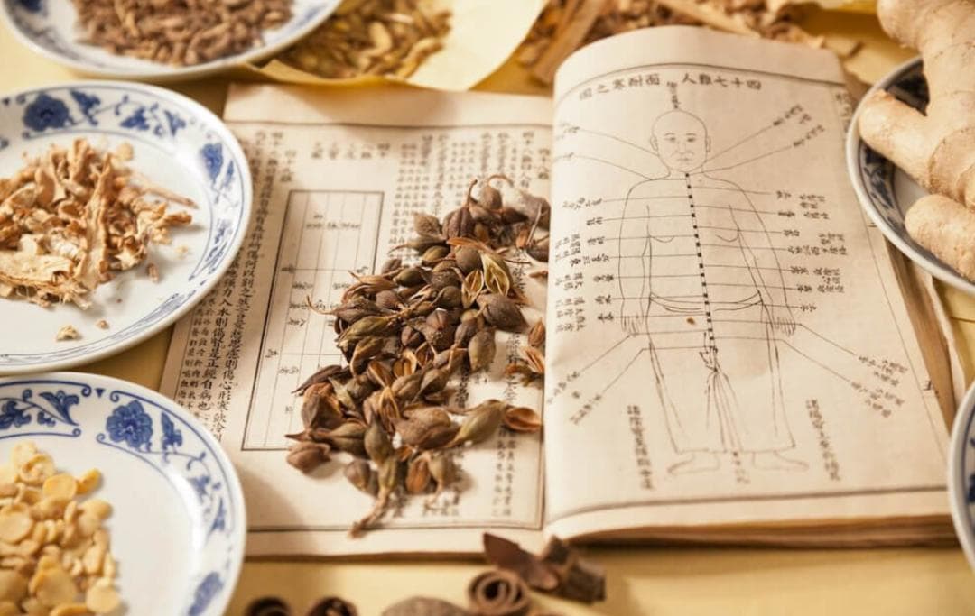 冬天怎么养肺？10种中医推荐的神奇食物