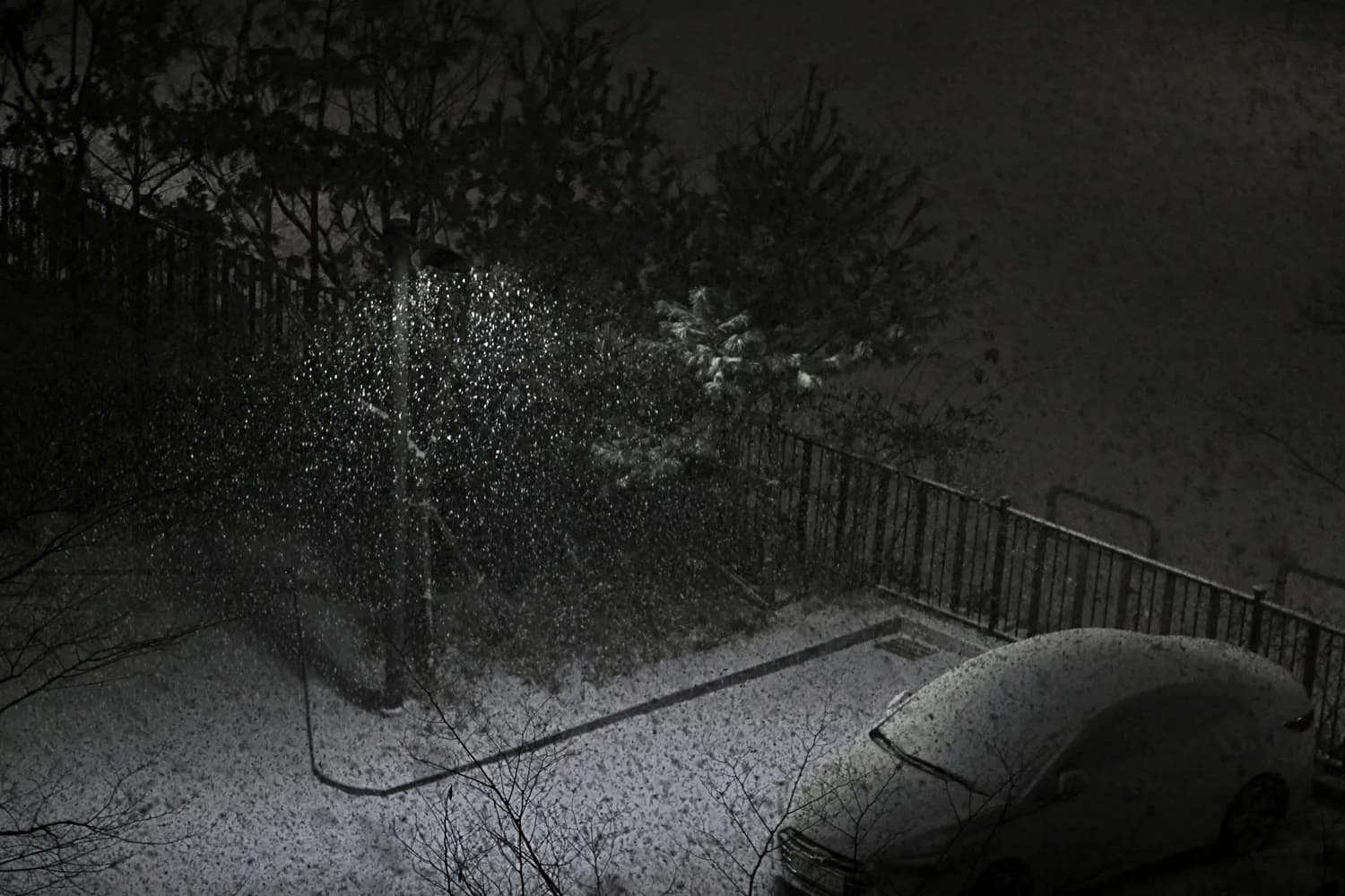 白居易笔下的冬日雪景：从寂静到温暖