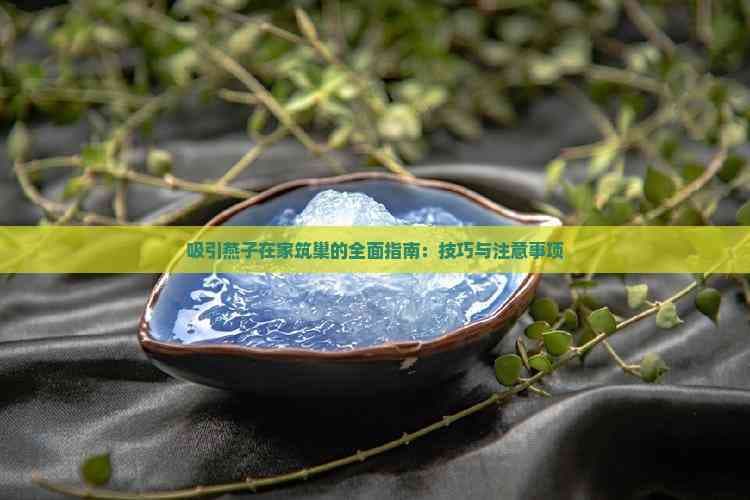 吸引燕子在家筑巢的全面指南：技巧与注意事项