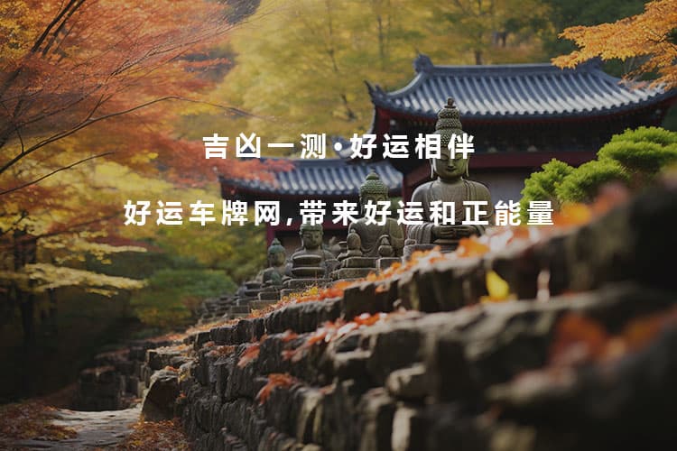 网上选车牌全流程指南：从注册到选号一文详解