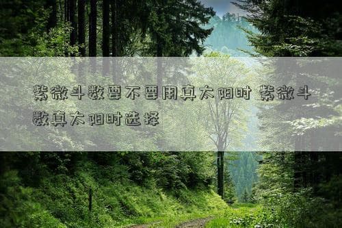 紫微斗数要不要用真太阳时？真太阳时选择详解