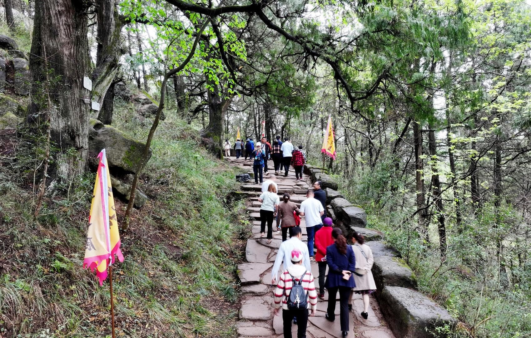 古蜀道游火了，广元如何抢占文旅发展新风口？