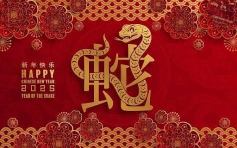 2025蛇年创意祝福语大集合！