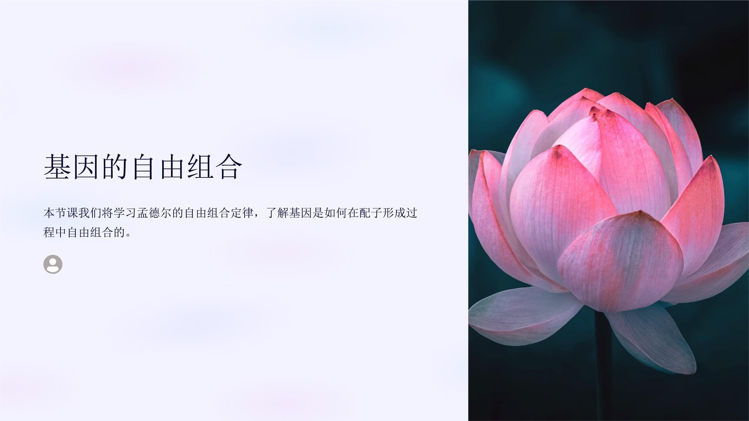 基因的自由组合