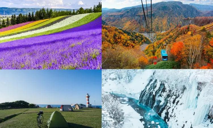 探索北海道与自然的深厚渊源：文化之旅