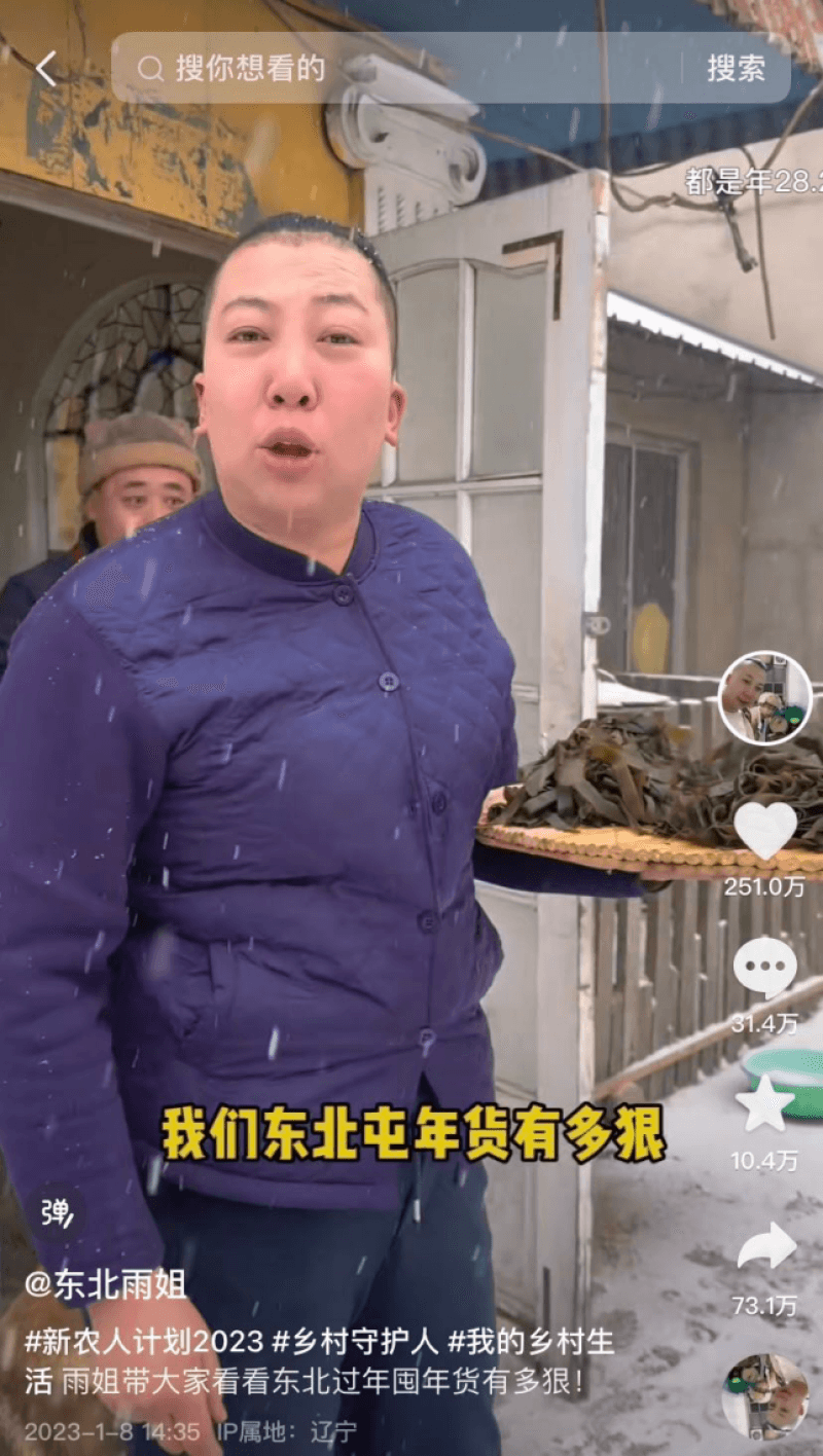 东北雨姐：千万网红背后的商业启示