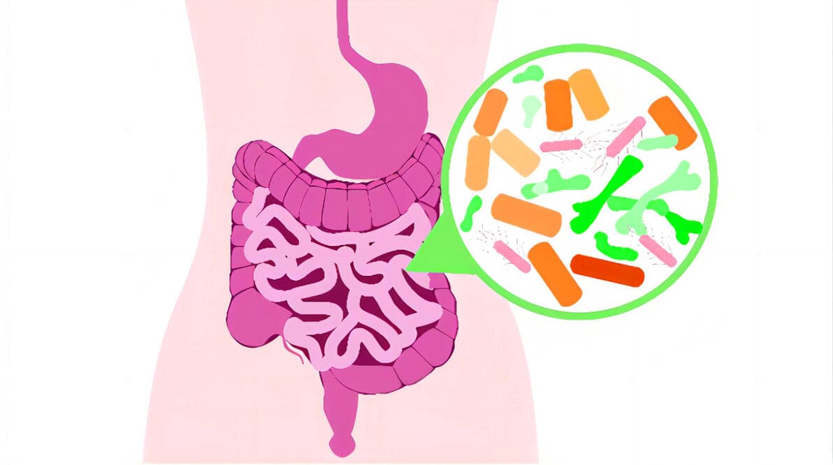 持续腹泻、脱水？可能是肠道菌群失调症！