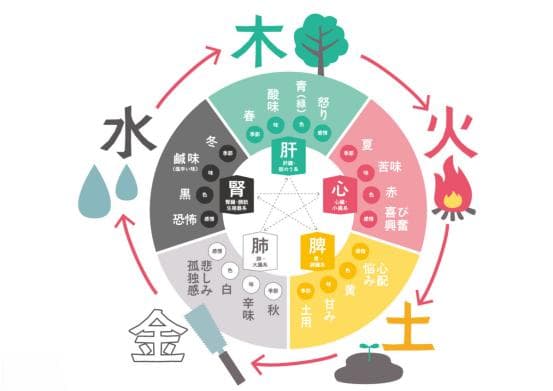 解码阴阳五行的影响