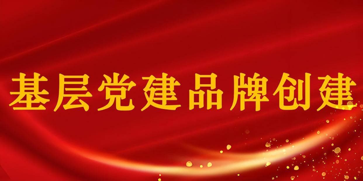 铸魂筑梦：探索党建品牌的核心理念