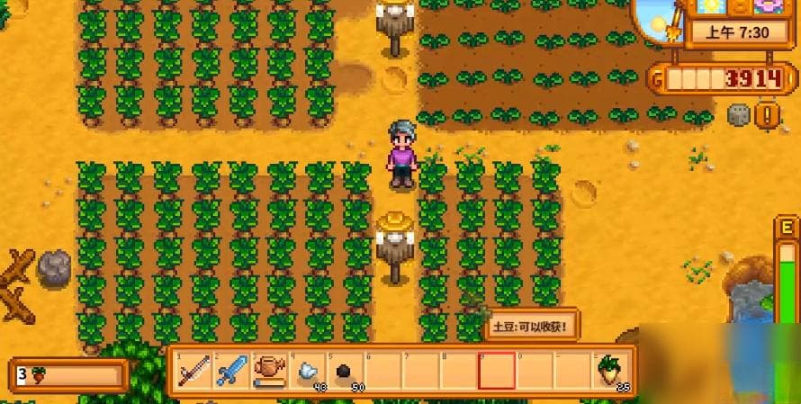 星露谷物语春天种什么农作物？春季种植作物推荐