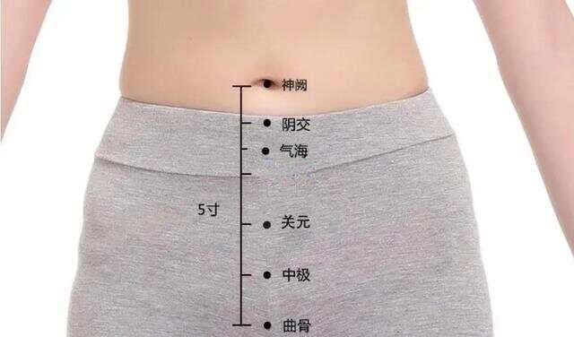 人体十二募穴