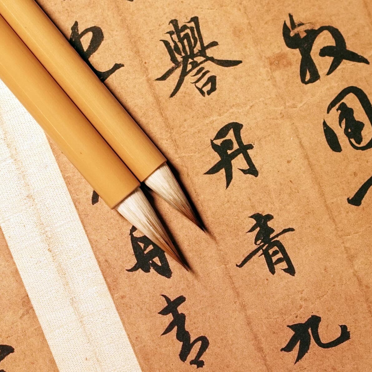 告别网传误区：专业毛笔使用与保养指南