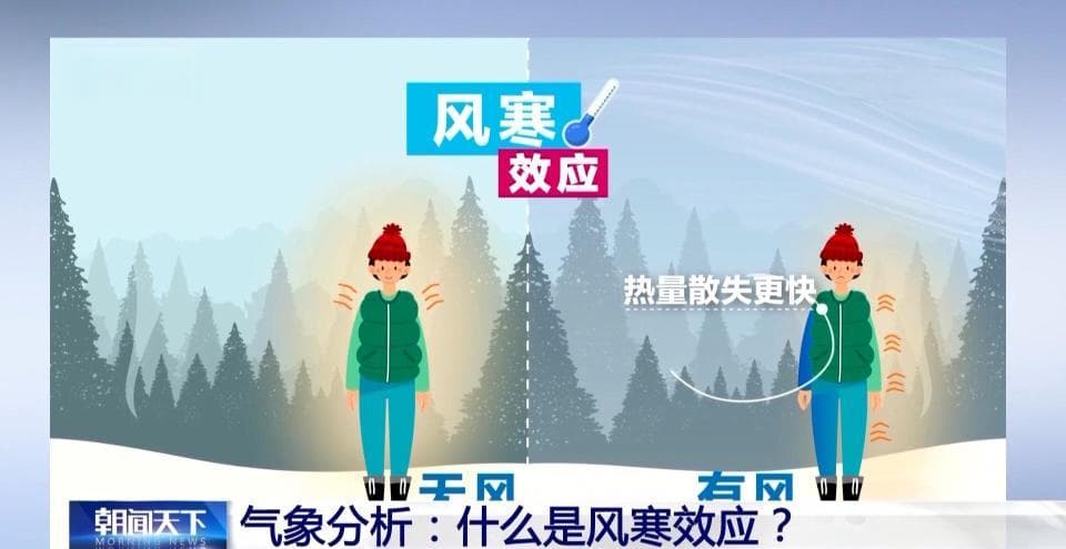 为什么在风中体感更冷？了解一下“风寒效应”