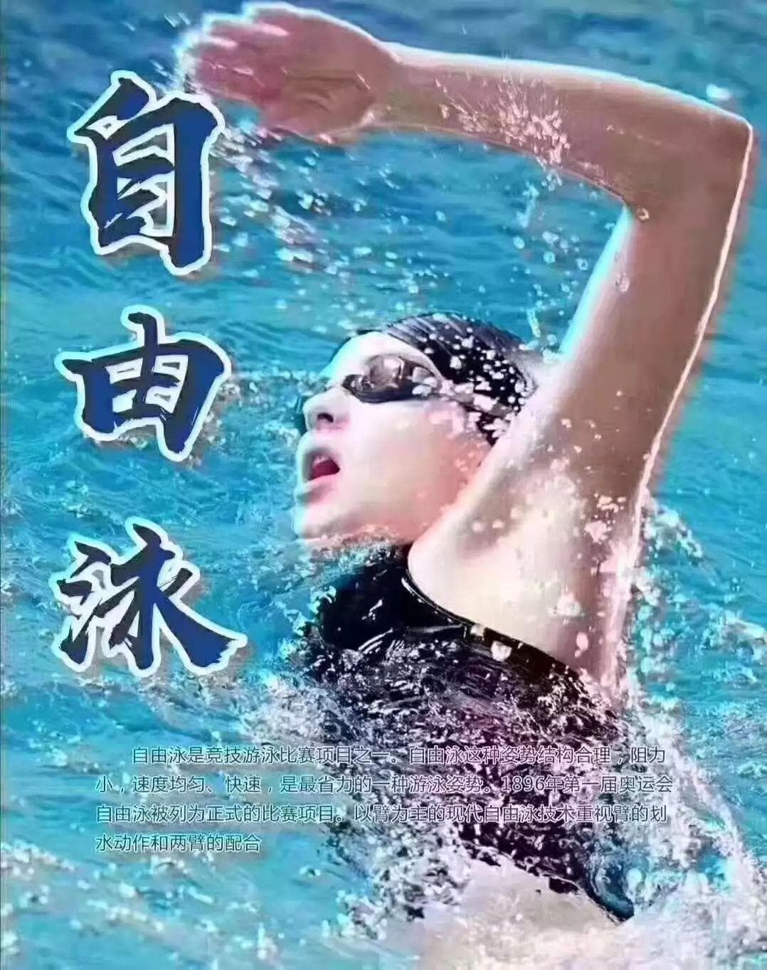 四种常见泳姿技巧图解、四字要诀和动图