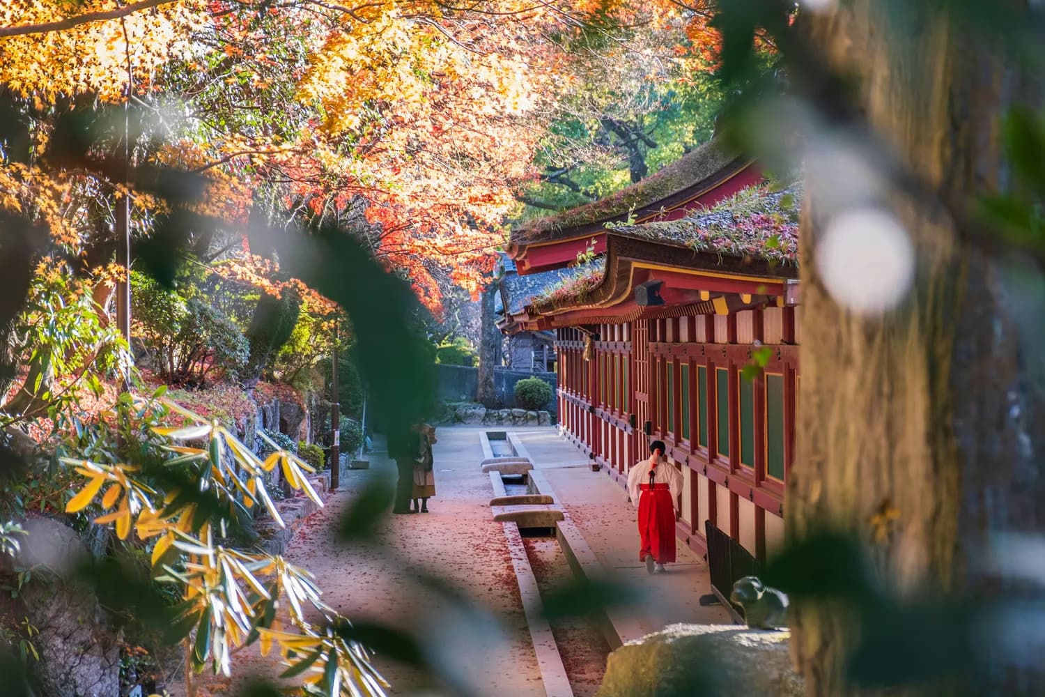 杭州灵隐寺2025祈福年历：喜见升卿