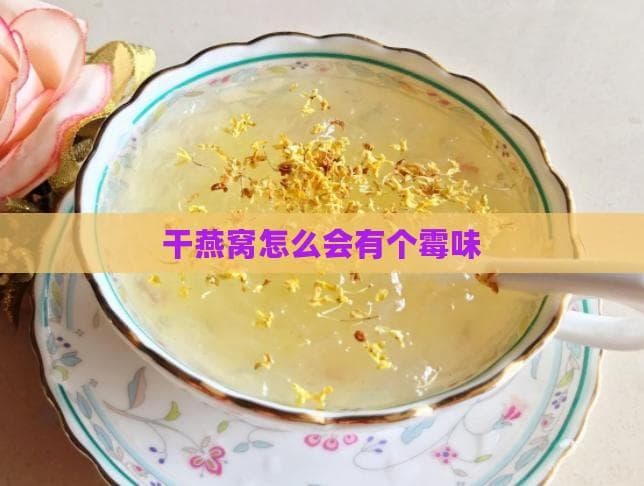 干燕窝出现霉味怎么办？原因分析与解决方案