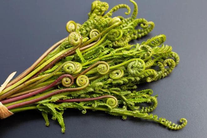 蕨菜味鲜营养好，留心这3点放心吃