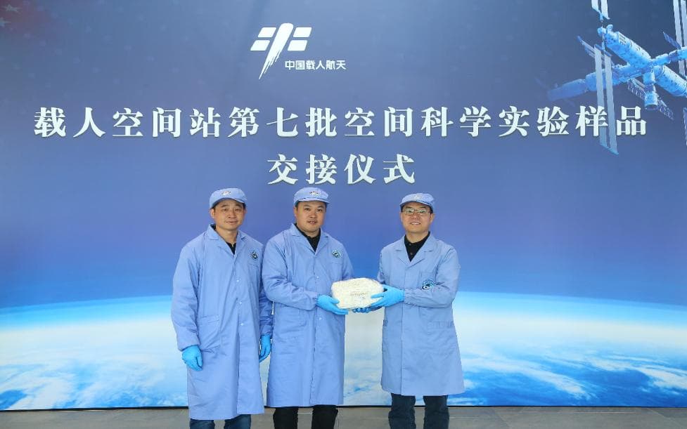 共55种、总重约34.6公斤 空间站第七批空间科学实验样品随神十八返回