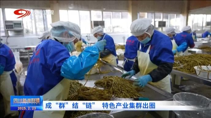 四川新闻联播丨成“群”结“链” 特色产业集群出圈
