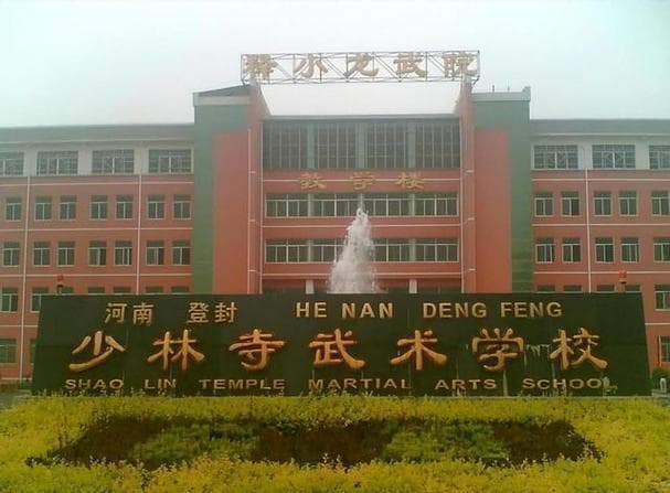 中国十大武术培训机构，少林寺塔沟武术学校排第一位