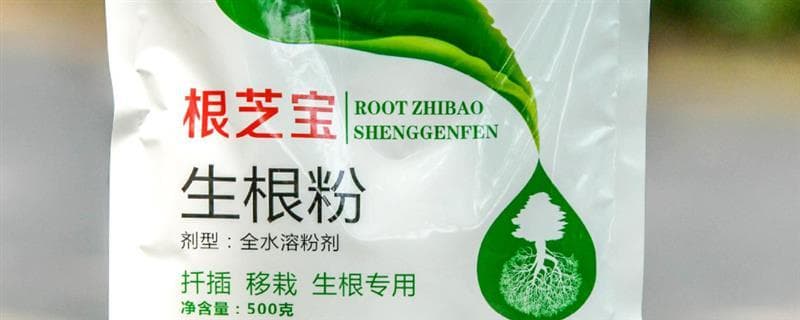 生根粉的使用方法及注意事项