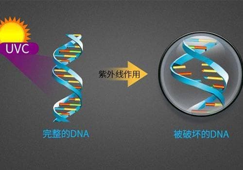 紫外线消毒灯和臭氧消毒哪种好？
