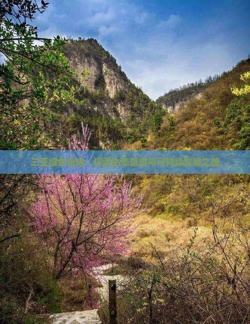 三亚绿色奇迹：探索生态旅游与可持续发展之路
