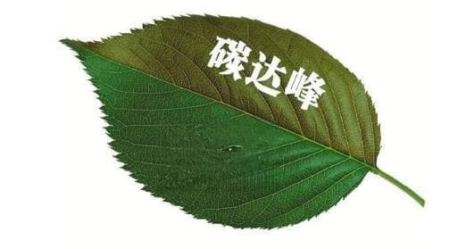 碳中和、碳达峰国际和国内标准解读与认证实践