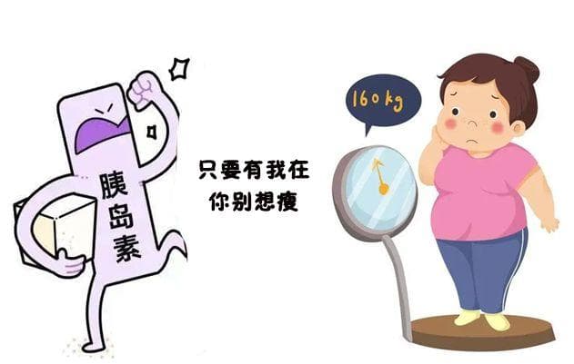 科学认识胰岛素，助力糖尿病管理