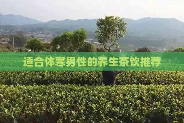 适合体寒男性的养生茶饮推荐