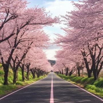 春季旅行必备攻略：注意气候、健康与安全，轻松畅享美好时光
