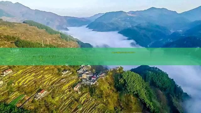 海南兴隆旅游攻略：热带雨林、温泉、美食全体验