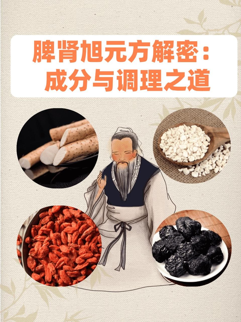 脾肾旭元方解密：成分与调理之道