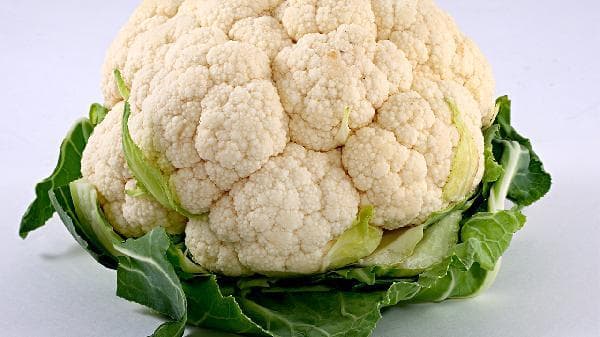 食物补钙的最佳选择是