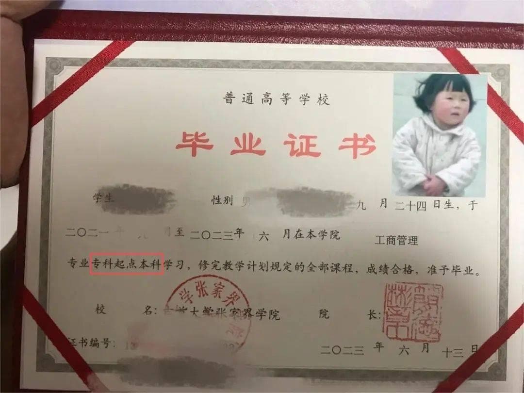 升本科普｜终于能一篇文章搞懂湖南统招专升本了