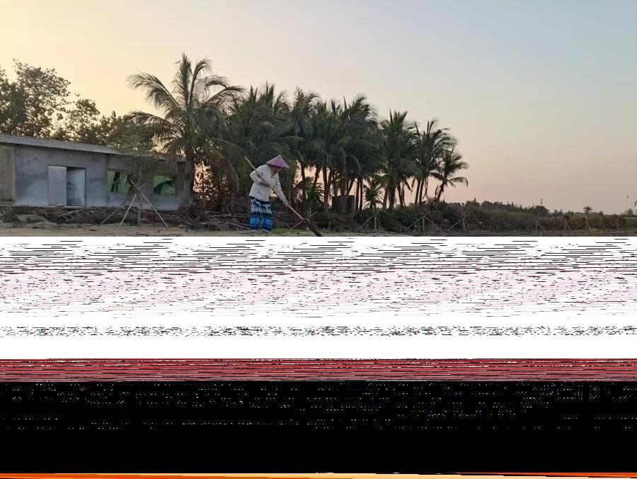 海南大力推动海洋生态保护修复 探索生态与经济效益共赢之路