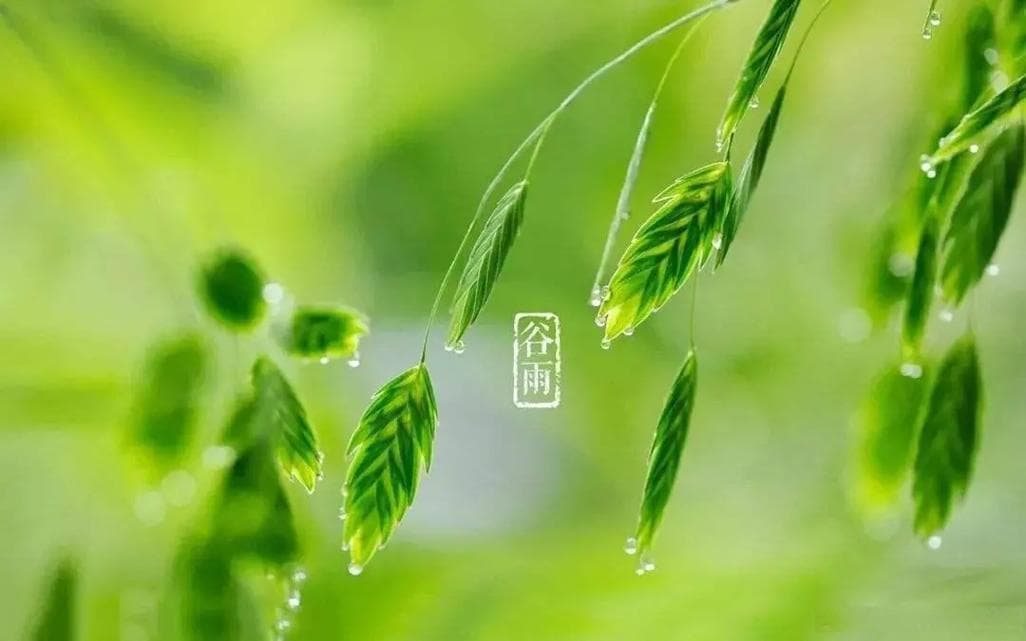 耳鸣的预防方法及其重要性