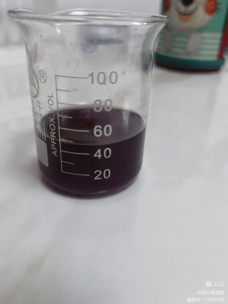 紫甘蓝的变色实验：一个有趣的化学小实验