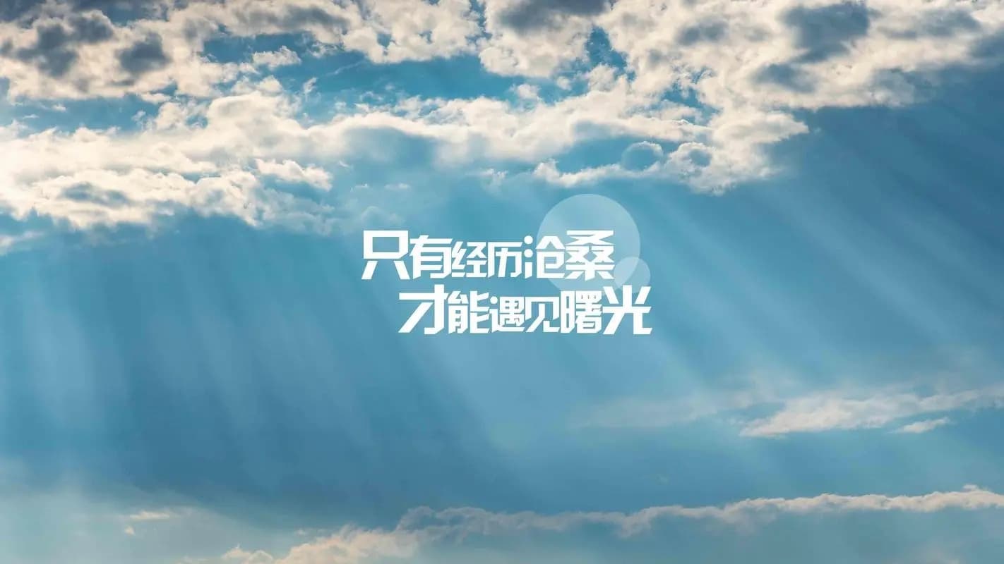 对山东黄金股价运行轨迹与基本面分析的辩证思考