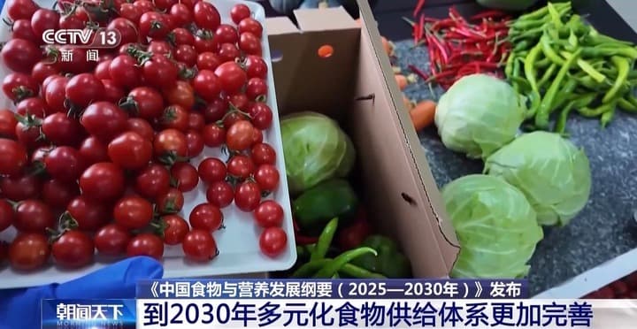 吃多少、怎么吃才更健康？《纲要》划重点