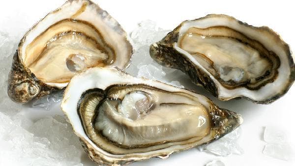 海鲜菇煮不熟会中毒吗？食用安全指南