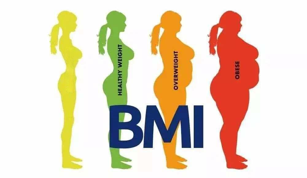 一文读懂正确评估身体的基础数据（BMI、体脂率、腰臀比、基础代谢率）