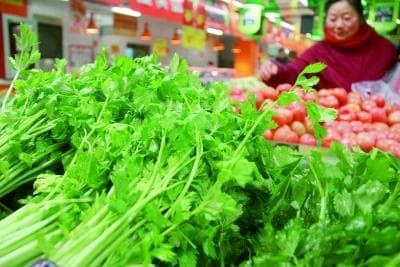 风控能力的定义及衡量标准是什么？如何提高风控能力以应对市场变化？