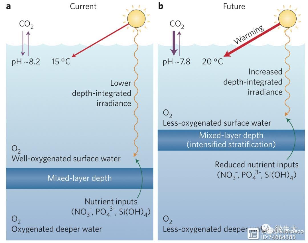 【原】综述 | Nature Microbiology：微生物与海洋全球变化