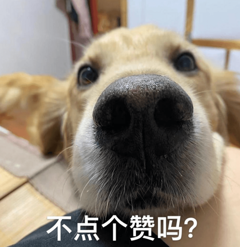 西安2025年演唱会/音乐节全攻略：时间、票价及购票信息汇总