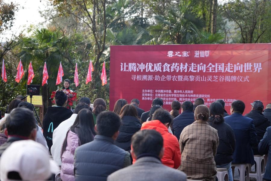 高黎贡山灵芝谷揭牌，腾冲文旅融合新篇章正式开启
