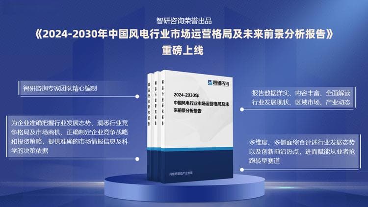 2025版中国风电行业政策分析、发展环境及未来趋势预测报告