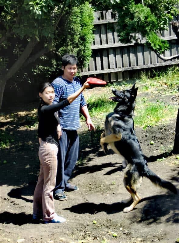 澳大利亚华人女性的选择：丁克、冻卵与不婚主义