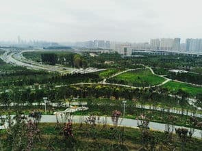 郑州国家森林公园,河南旅游必去十大景点