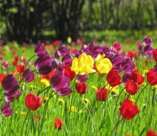季节交替，做好这些准备，让孩子远离过敏性皮炎、鼻炎